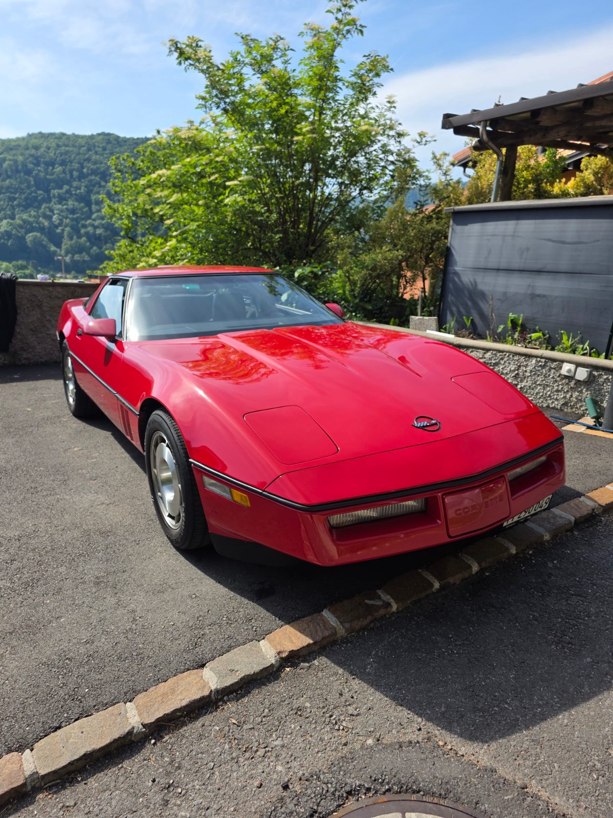 Chevrolet Corvette C4, Ticino